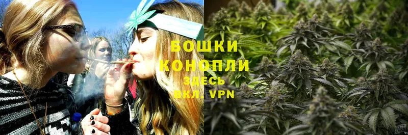 МЕГА вход  Петровск  МАРИХУАНА THC 21%  где купить наркоту 